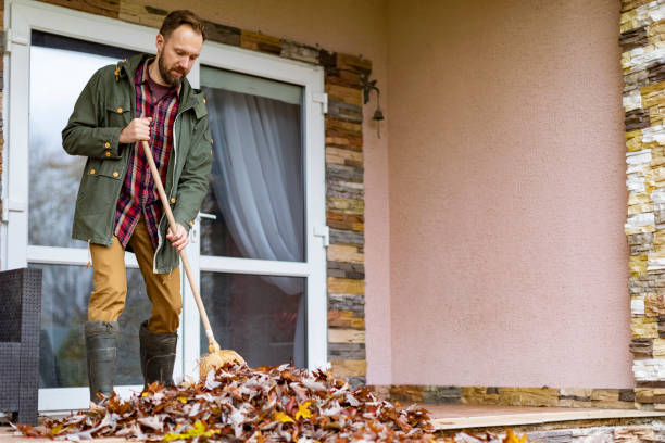 Yard Cleanup Services in Le Center, MN